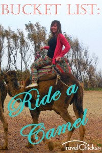 Bucket list idea, ride a camel